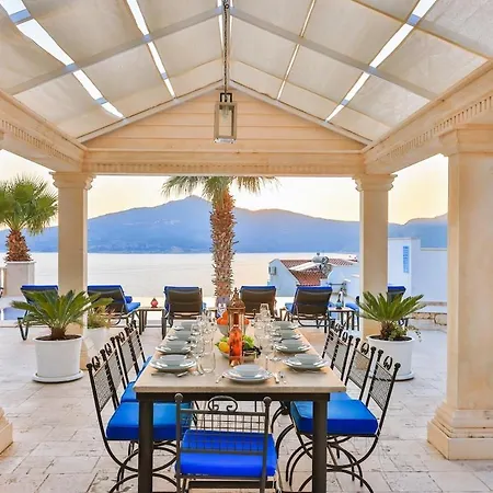 Palmiye, Kalkan