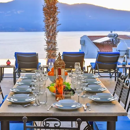 Palmiye, Kalkan Willa Kaş
