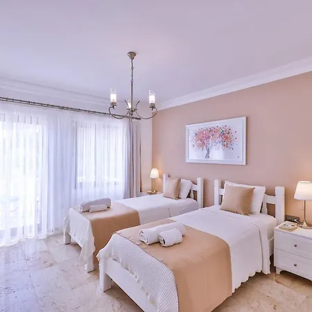 Palmiye, Kalkan *