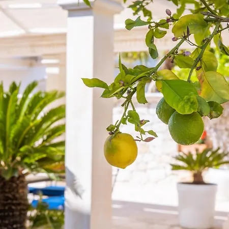 Willa Palmiye, Kalkan *