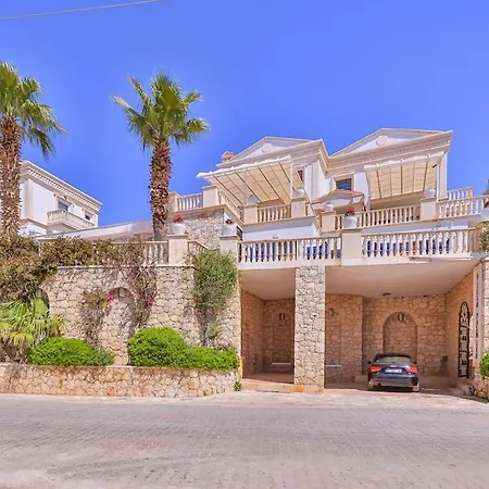 Palmiye, Kalkan